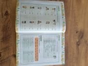 A1-A2 İNGİLİZCE EĞİTİM SETİ